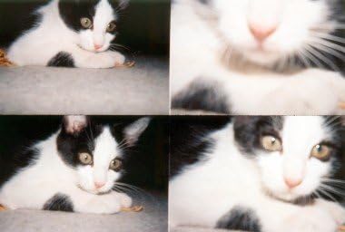 Lomography ActionSampler Clear