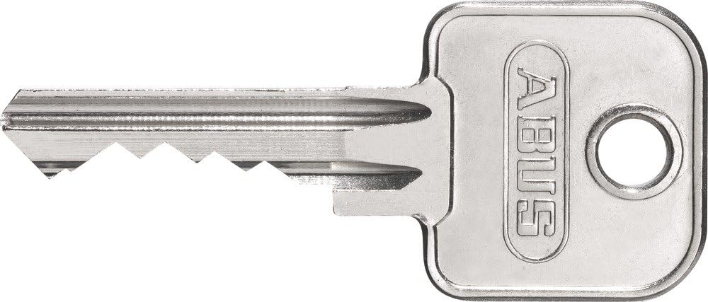 ABUS Vorhängeschloss Messing 85/30HB65 - mit hohem Bügel - für Kellertüren, Schuppen u. v. m. - wett