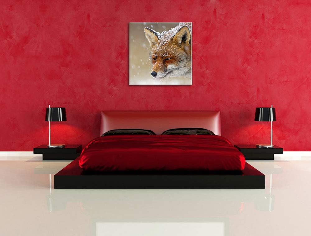 Pixxprint Fuchs im Schnee, Format: 70x70 auf Leinwand, XXL riesige Bilder fertig gerahmt mit Keilrah