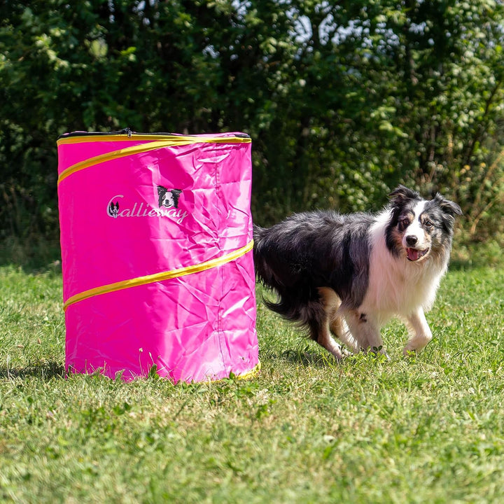 Callieway Hoopers Agility Barrel – Tonne/Fass für Hundetraining (Doppelpack, Blau) | Leicht, stabil
