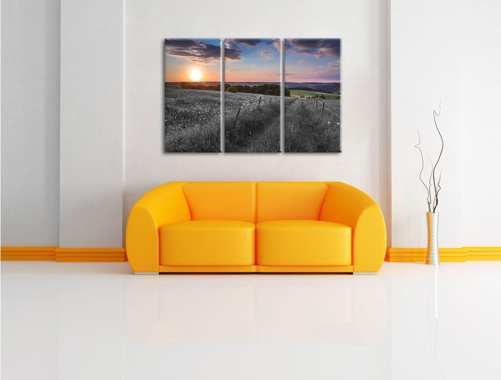 Pixxprint Bergwiese im Sonnenaufgang als Leinwandbild/Grösse: 3 Teilig (120x80) cm/Wandbild/Kunstdru