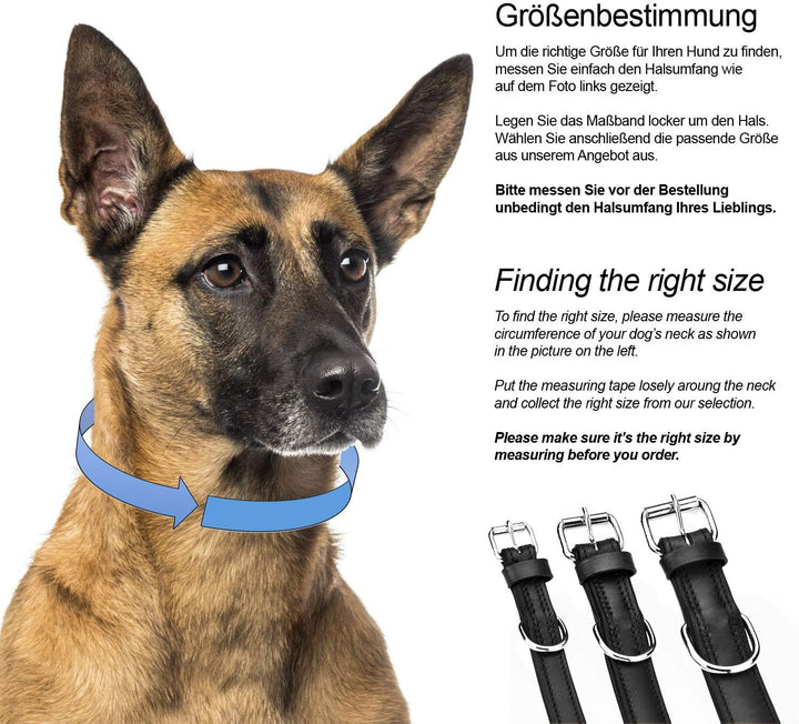 Schnüffelfreunde Lisa Halsband für Hunde aus Leder mit Applikation, Hundehalsband für den grossen un