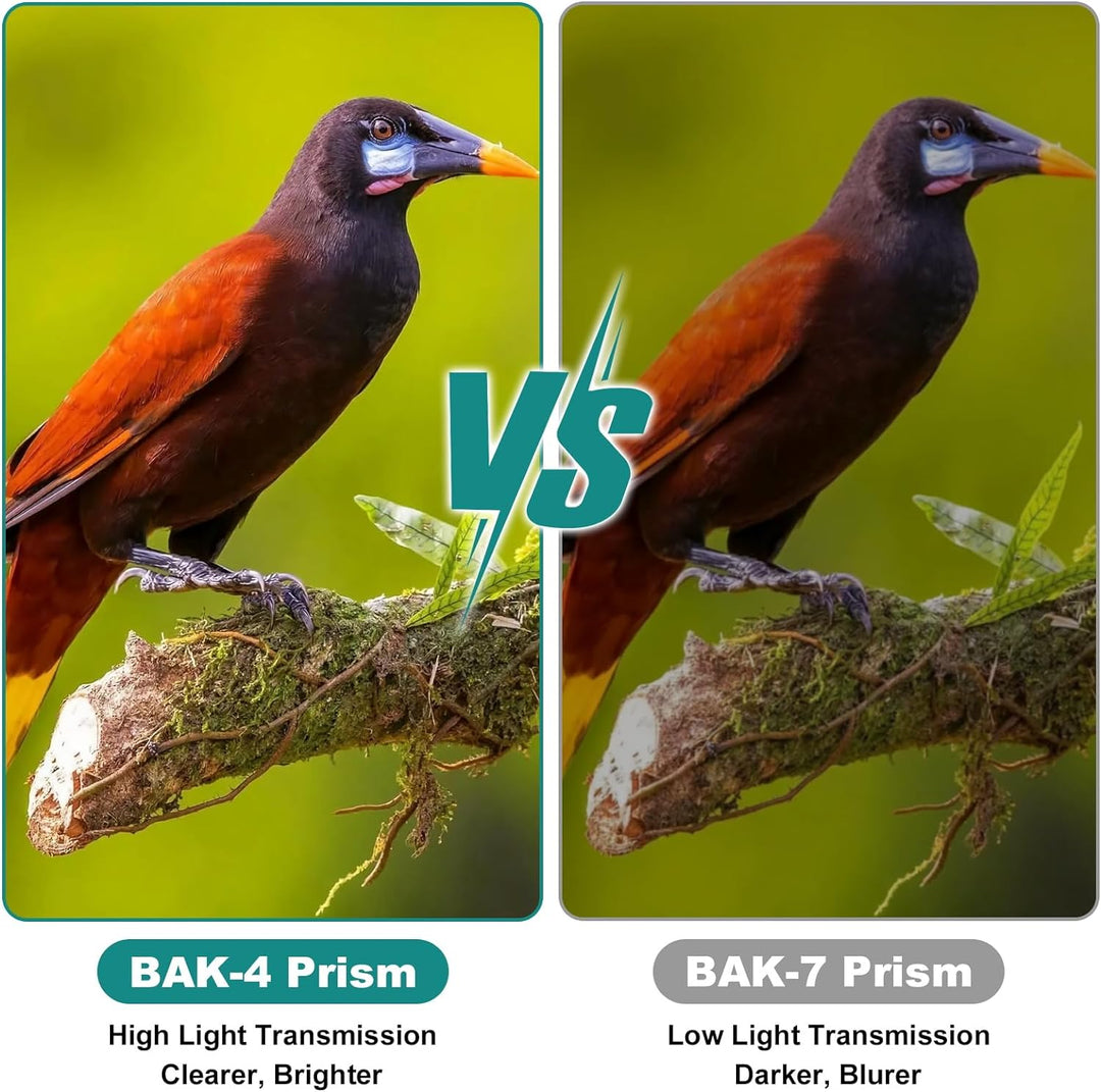 USCAMEL 12x25 Kompaktes Kleines Fernglas für Erwachsene Kinder mit 16.5 mm Okularen, BAK-4 Prisma, W