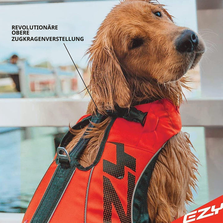 EZYDOG X2 Boost Schwimmweste | Bootfahren, hundefreundlich, Paddelbrett, überlegener Auftrieb, Rettu