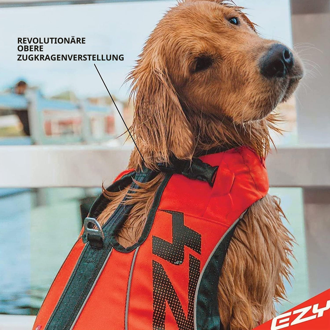 EzyDog Schwimmweste Hund – Premium Schwimmhilfe für kleine, mittlere & grosse Hunde – DFD X2 Boost R