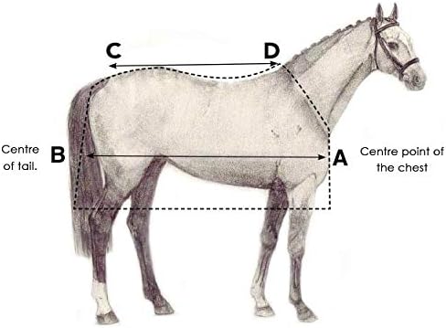 Horseware Irland Horseware Amigo Turnout LITE Weidedecke, blau/Silber, 155 blau/silber 155 cm, blau/