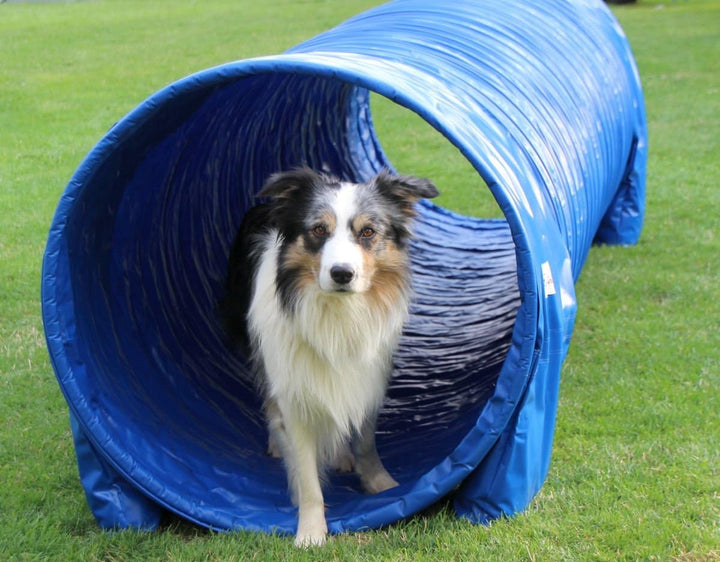 Callieway® Dog Agility Tunnel Profi Hunde Tunnel Agility Gerät (Stützsandsäcke bereits inklusive) (3