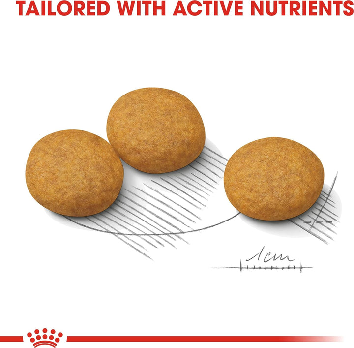 Royal Canin Medium Dermacomfort 24, 1er Pack (1 x 10 kg Packung) - Hundefutter 10 kg (1er Pack), 10