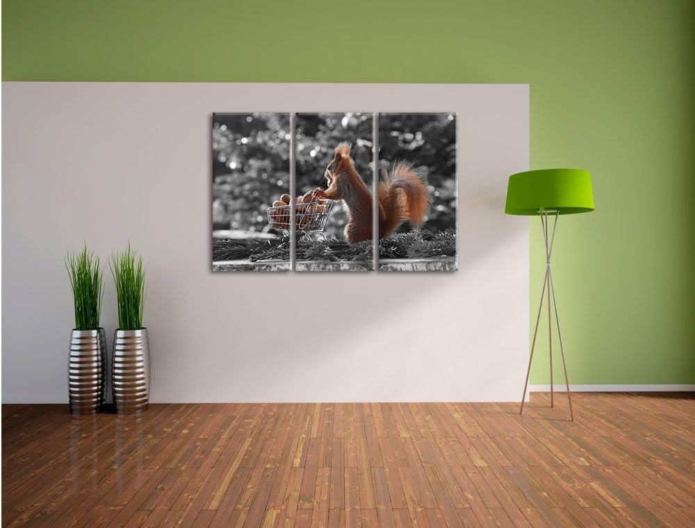 Pixxprint Eichhörnchen Schorschi Einkaufswagen B&W Detail 3-Teiler Leinwandbild 120x80 Bild auf Lein
