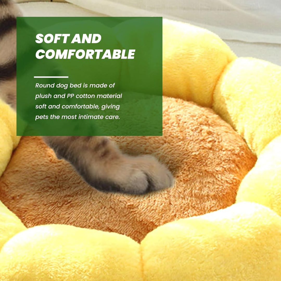 Haustierbett, Katzenbetten, Hundebett, niedliche Blumenform, für drinnen und draussen, Katzen, beruh