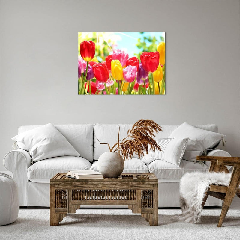 Bilder auf Leinwand Tulpe Blume Garten Plantage Leinwandbild 70x50cm Wandbilder Dekoration Wohnzimme