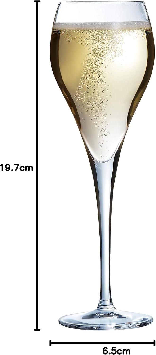 Arcoroc ARC J1478 Brio Sektglas, Sektkelch, 160ml, Glas, transparent, 6 Stück 160ml Ohne Füllstrich,