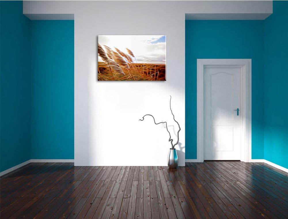 Schönes Schilf in den Dünen Deluxe Format: 100x70 cm auf Leinwand, XXL riesige Bilder fertig gerahmt