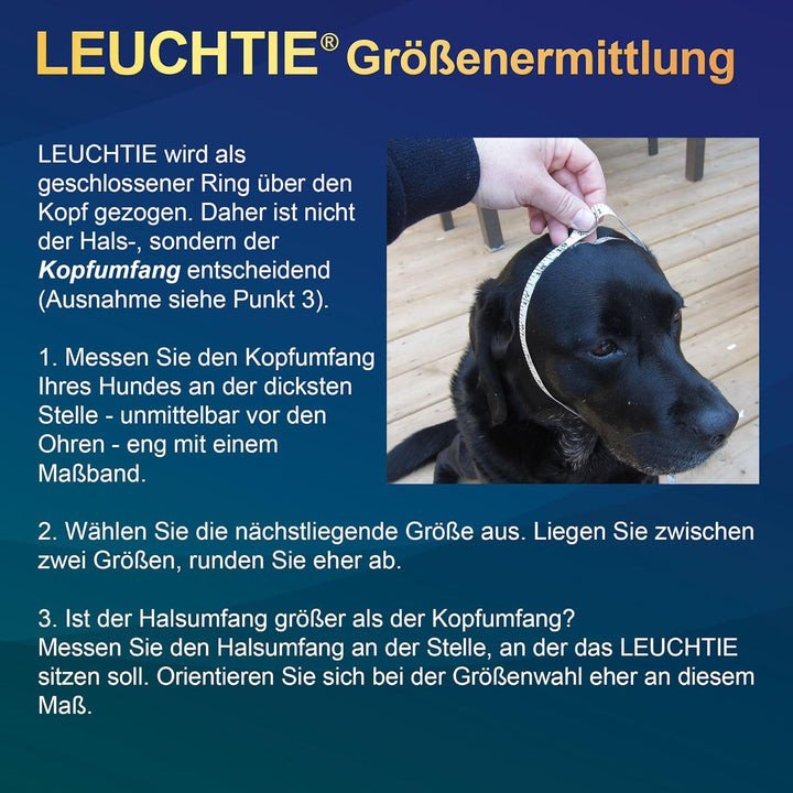 LEUCHTIE® Leuchthalsband Plus rot Grösse 37,5 I LED Halsband für Hunde I 100 h Leuchtdauer I wasserd