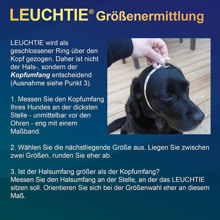 LEUCHTIE® Leuchthalsband Plus Lavendel Grösse 45 I LED Halsband für Hunde I 100 h Leuchtdauer I wass