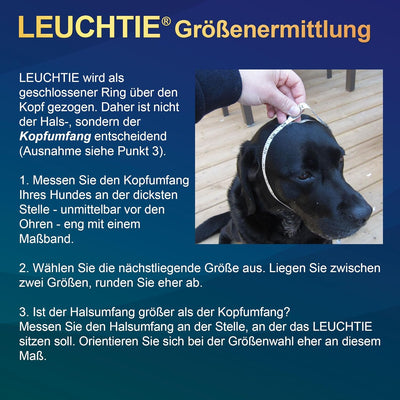 LEUCHTIE® Leuchthalsband Plus rot Grösse 50 I LED Halsband für Hunde I 100 h Leuchtdauer I wasserdic