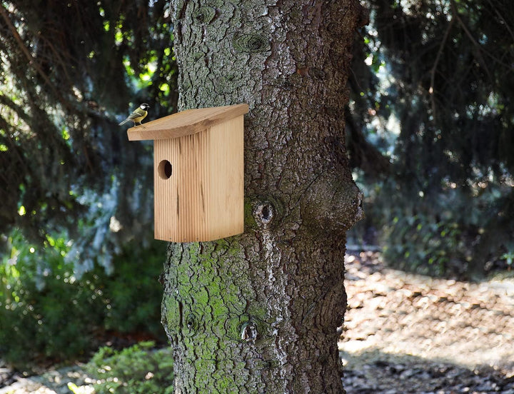 MAZUR 4X Nistkasten zum Aufhängen | Vogelhaus | Bausatz | handgemacht in Europa | für Meisen, Kleinv