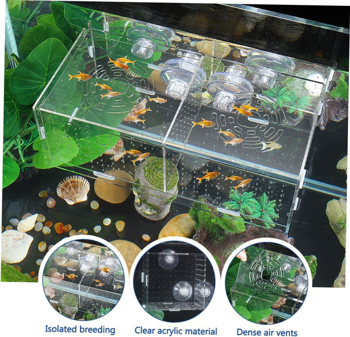 POPETPOP Fisch Isolation Box - Acryl Fischzuchtbox Fisch Züchter Box mit 4 Saugnäpfen für Babyfische