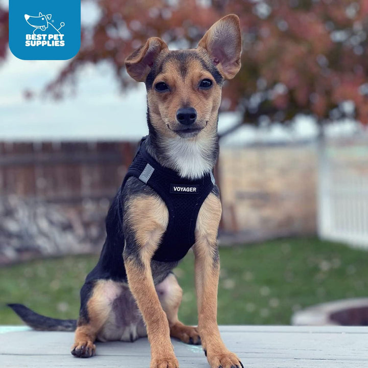 Voyager Step-In Air Hundegeschirr by Best Pet Supplies - All Weather Mesh Step in Vest Harness für k