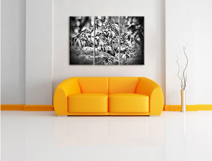 Pixxprint Leopard mit Jungtier als Leinwandbild/Grösse: 3 Teilig (120x80) / Wandbild/Kunstdruck/fert