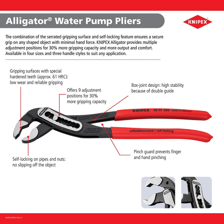 KNIPEX Tools 8801250 Alligator Wasserpumpenzange, 25,4 cm 10-Inch, 10-Inch