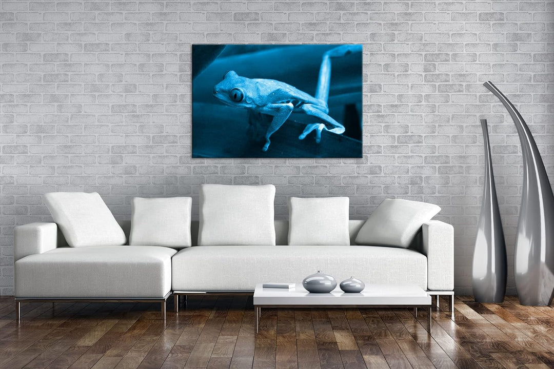 deyoli Exotischer Grüner Frosch mit roten Augen Format 80x60 Effekt: Monocrome Blau als Leinwandbild
