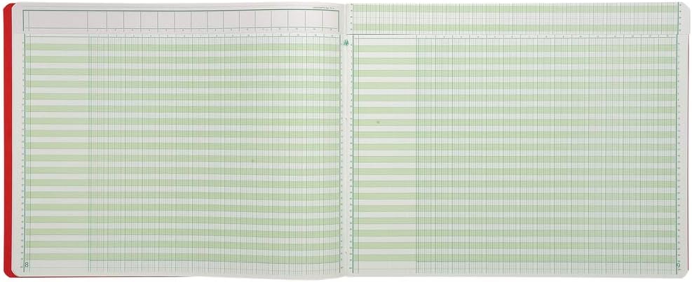 Exacompta 18150E Heft mit Kopfleiste 29,7x38 cm 15 Spalten 80 Seiten