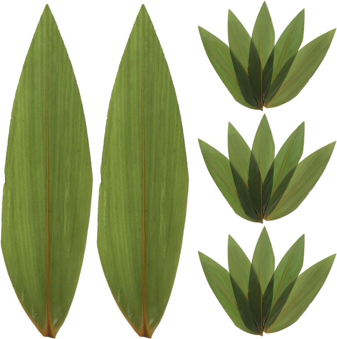 100 Stück Sushi-Bambusblätter, frische Bananenblätter zum Kochen, Zong Zi, Bananenblätter, Ersatz fü