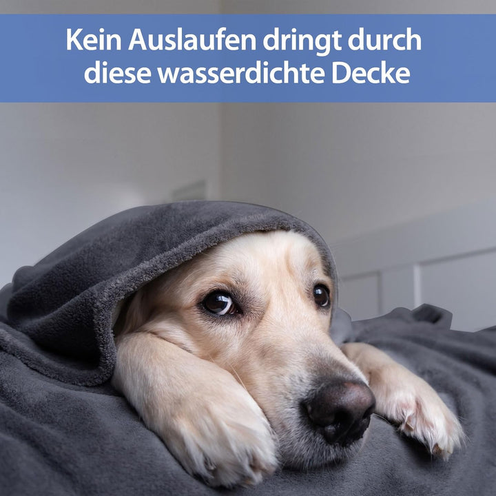 YISURE wasserdichte Decke Grau 200x150 cm für Erwachsene, Waschbar Grau und Lila Decken für Erwachse