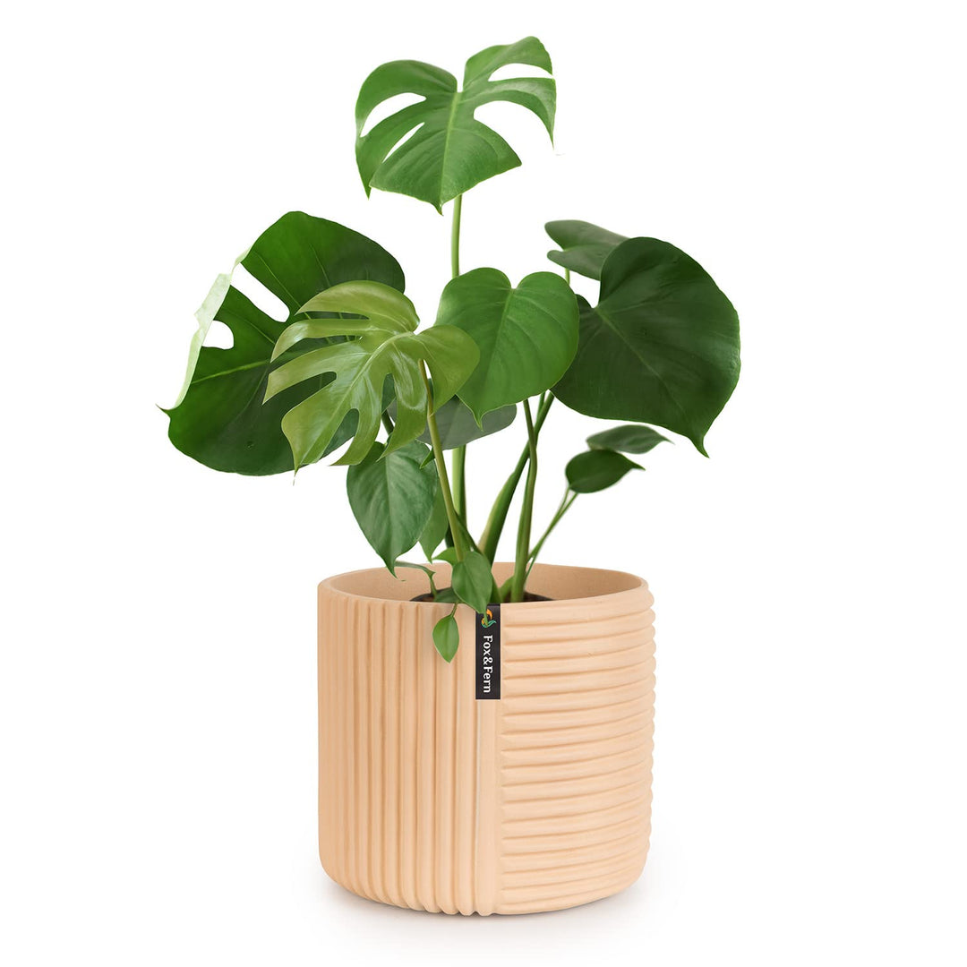 Fox&Fern Blumentopf L mit Linienstruktur - 27cm grosser Übertopf inklusive Wasserabfluss für Pflanze