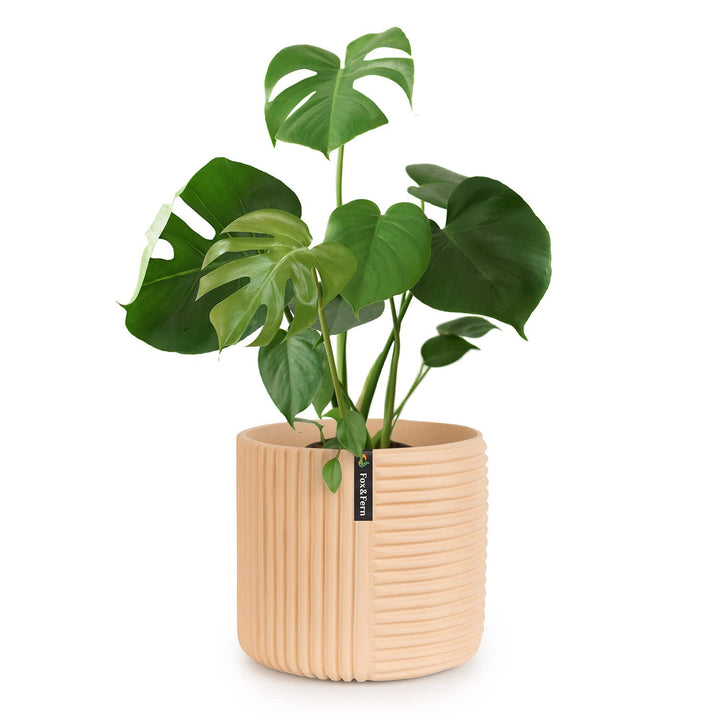 Fox&Fern Blumentopf L mit Linienstruktur - 27cm grosser Übertopf inklusive Wasserabfluss für Pflanze