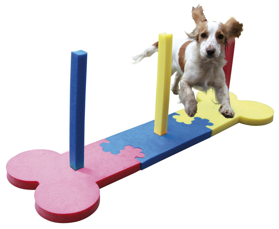 Rosewood 02495 Agility-Slalomstangen für kleine Hunde