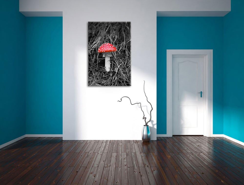 kleiner Fliegenpilz auf Waldboden schwarz/weiss auf Leinwand, XXL riesige Bilder fertig gerahmt mit