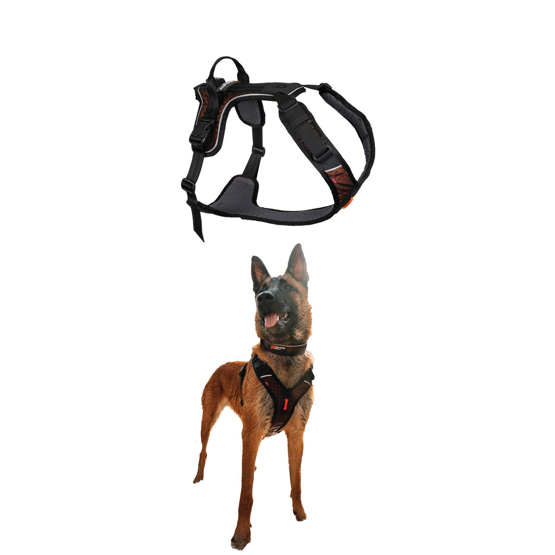 Non-Stop dogwear Rock Harness |130| Führ und Alltagsgeschirr, Grösse:L Schwarz L, Schwarz L