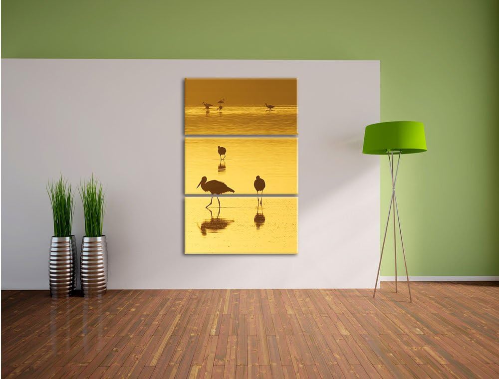 Pixxprint Störche im Wasser als Leinwandbild/Grösse: 3 Teilig (120x80) cm/Wandbild/Kunstdruck/fertig