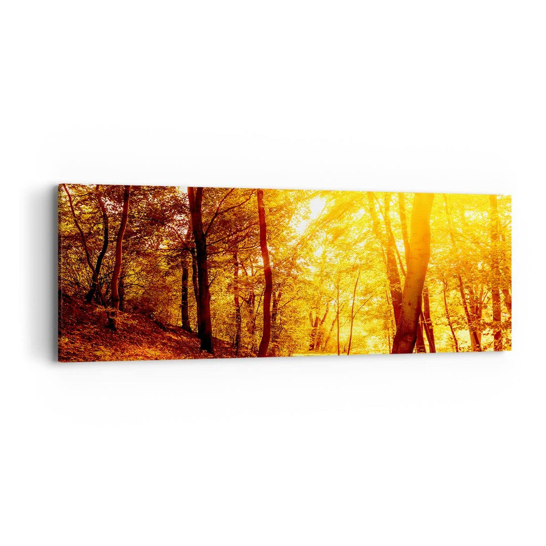 Panorama Bilder auf Leinwand Wald Baum Natur Leinwandbild mit Rahmen 90x30cm Wandbilder Dekoration W