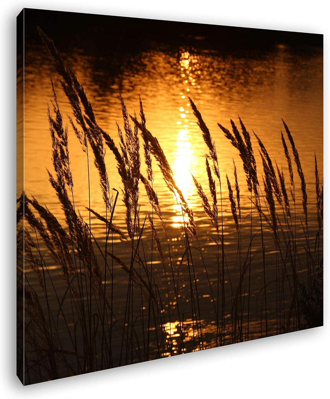 deyoli Gräser am Ufer eines Sees Format: 70x70 als Leinwand, Motiv fertig gerahmt auf Echtholzrahmen