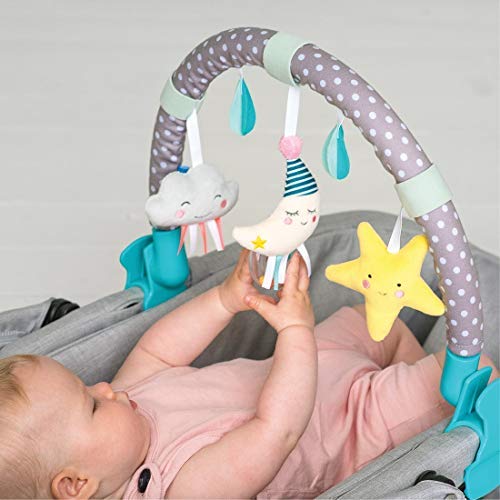 Taf Toys 12365 - Kinderwagen-Spielbogen Minimond