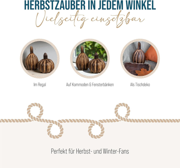 Logbuch-Verlag 2 Kürbis Figuren zum Hinstellen Herbst Dekoration Zierkürbis Herbstdeko Dunkelbraun 1