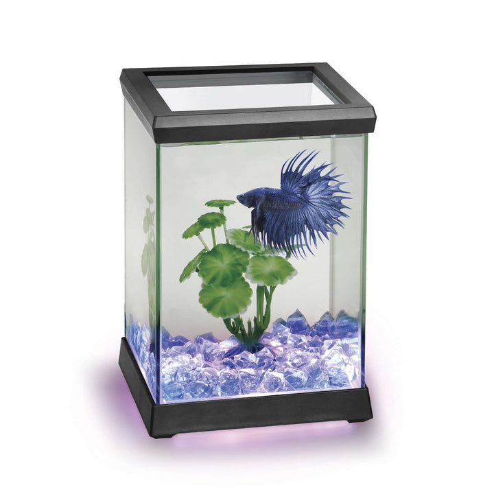 Ocean Free AT619A Kit Betta Space LED, Schwarz, Schwarz