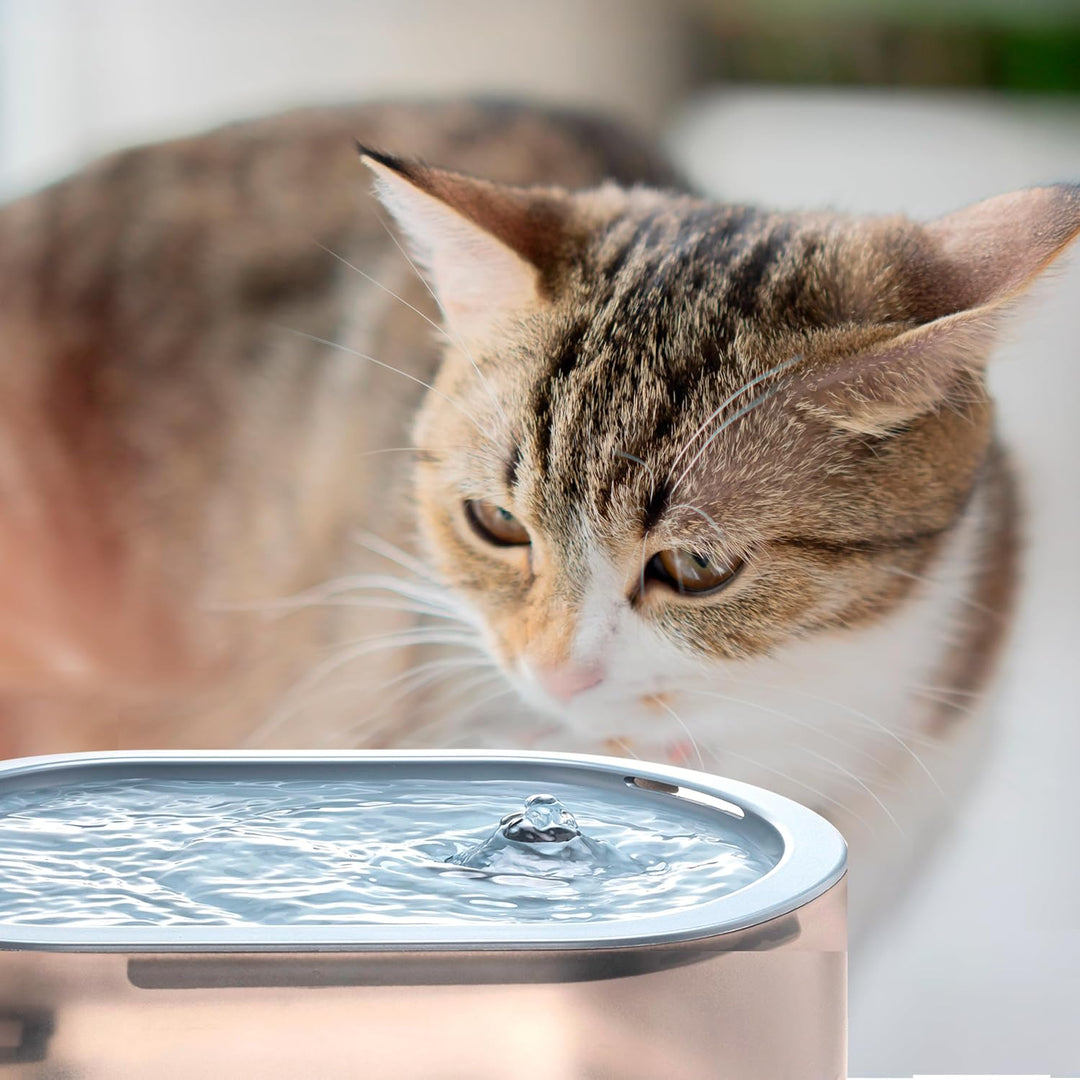 Ufesa Automatischer Trinkbrunnen für Haustiere 2,5 L, Aktivkohle- und Harzfilter, Katzenbrunnen, USB
