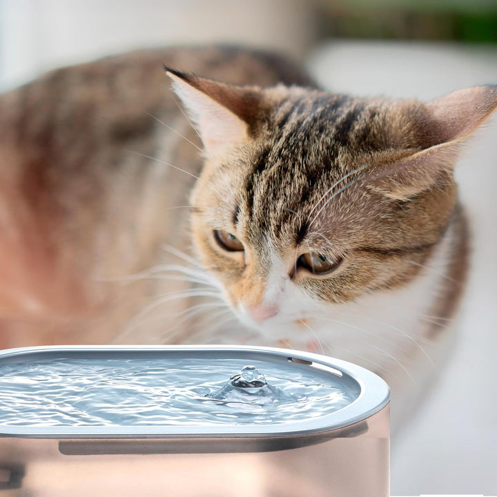 Ufesa Automatischer Trinkbrunnen für Haustiere 2,5 L, Aktivkohle- und Harzfilter, Katzenbrunnen, USB