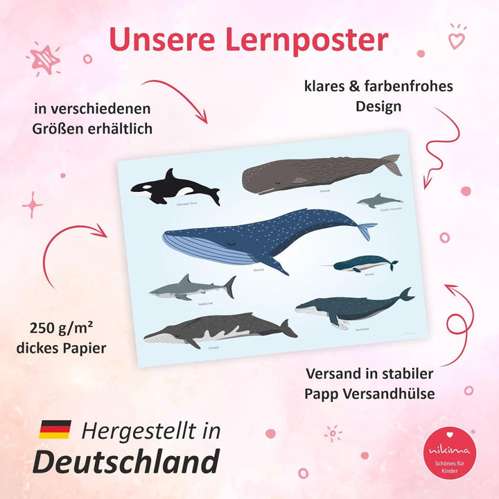 Kinder Lernposter - Tiere der Meere - Wal Delfin Orca Hai - in 3 Grössen - Wanddeko Kinderzimmer Pos
