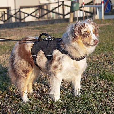 Ferplast Ergonomisches Hundegeschirr Grosse Hunde ERGOTREKKING Small, Geschirr Hund Sechs Verschlüss