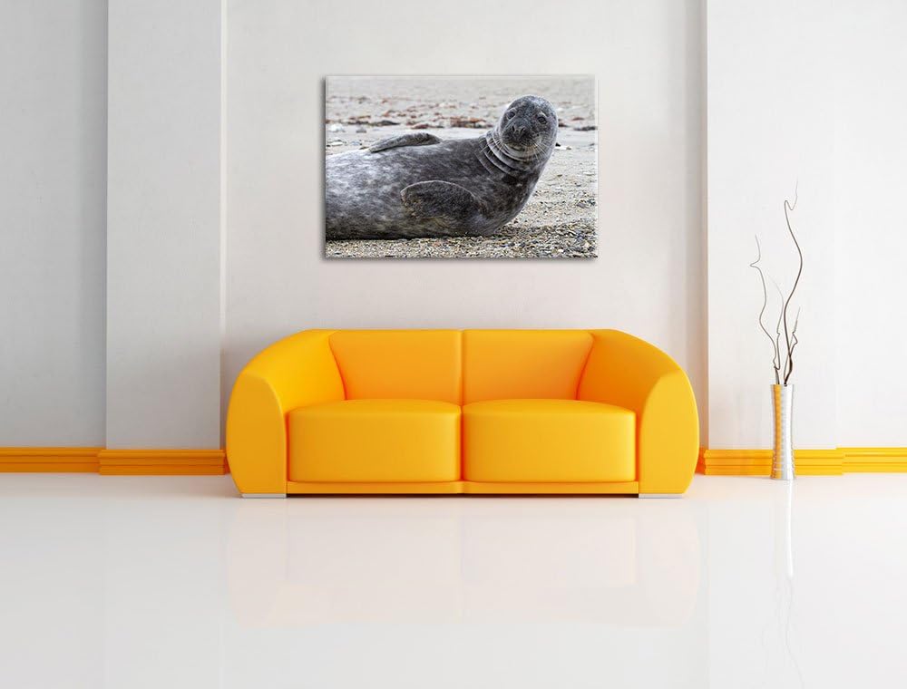 dunkle Robbe entspannt an Kiesstrand Leinwand, XXL riesige Bilder fertig gerahmt mit Keilrahmen, Kun