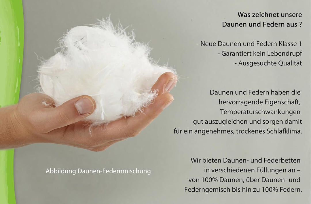 franknatur - Ballonbett 155x220 Winterdecke 30% Neue Gänsedaune 3000g - Bettdecke 155 x 220 cm, 155