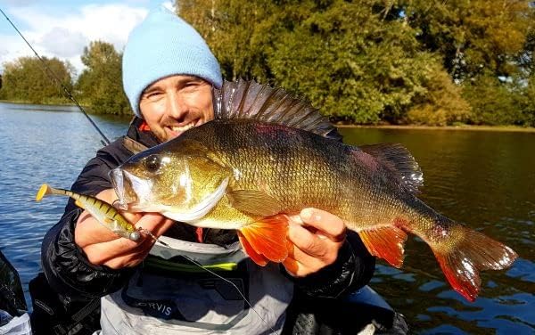 LMAB KØFI Perch Shad 7 cm (KÖFI) Farbe Green Pumpkin Chartreuse