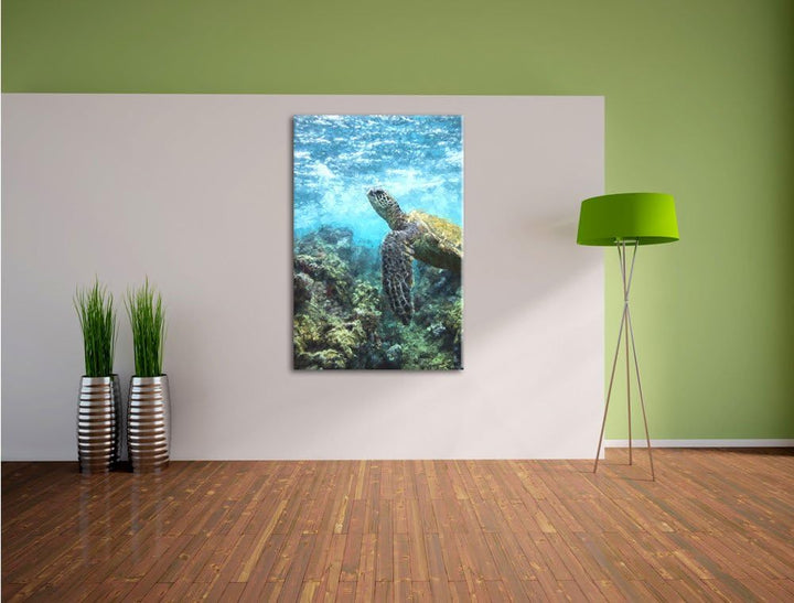 Pixxprint Schildkröte im Pazifik als Leinwandbild/Grösse: 100x70 / Wandbild/Kunstdruck/fertig bespan