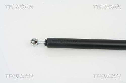 Triscan 871016242 Gasfeder Kofferraum