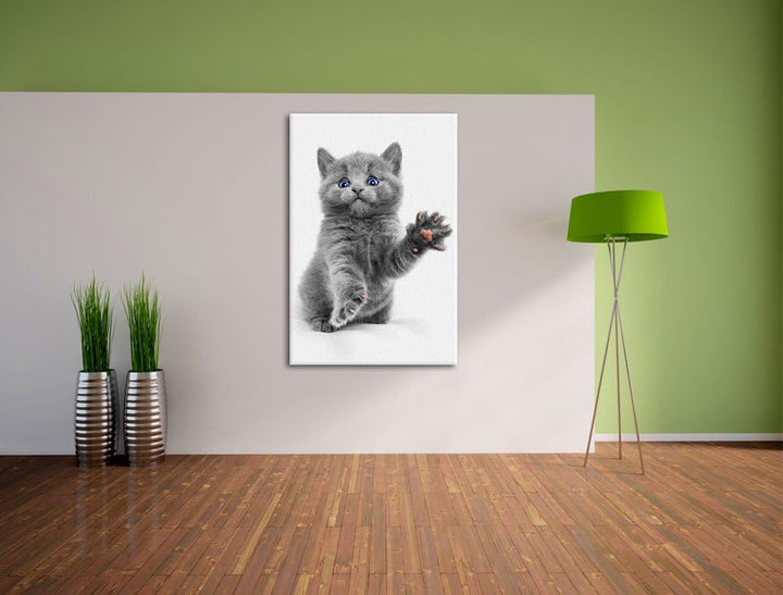 süsse kleine russisch Blau schwarz/weiss Format: 100x70 auf Leinwand, XXL riesige Bilder fertig gera